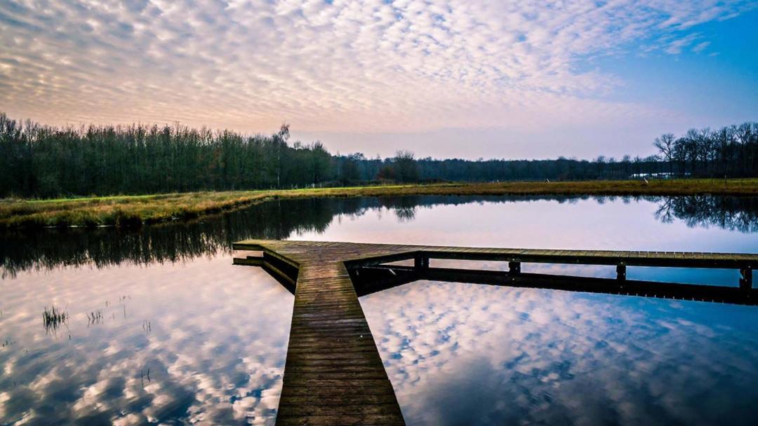 Equilodge 'T Blommeke - Reconnect With Nature Brugge Ngoại thất bức ảnh